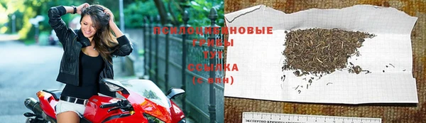 винт Киренск