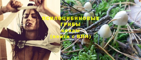 бошки Киреевск