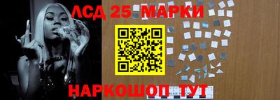 крисы Аргун