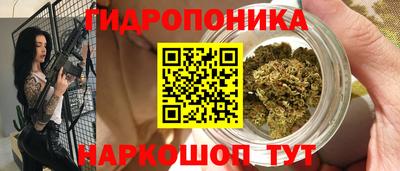 эйфоретик Гусиноозёрск