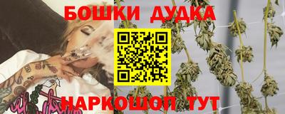 крисы Аргун