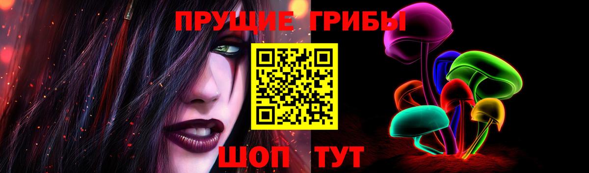 Псилоцибиновые грибы MAGIC MUSHROOMS  Шали  Псилоцибиновые грибы прущие грибы 