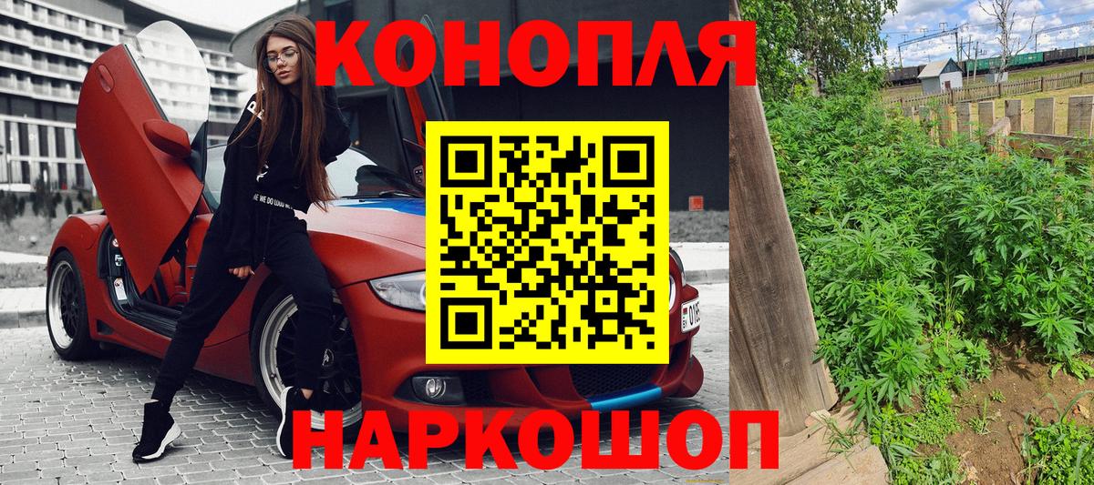 Бошки Шишки семена Шали